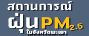 ฝุ่น2
